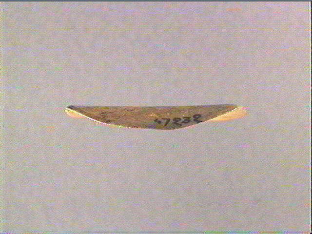 Rondelle, scapula_1
