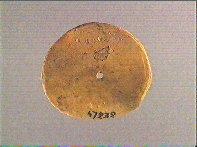 Rondelle, scapula_2