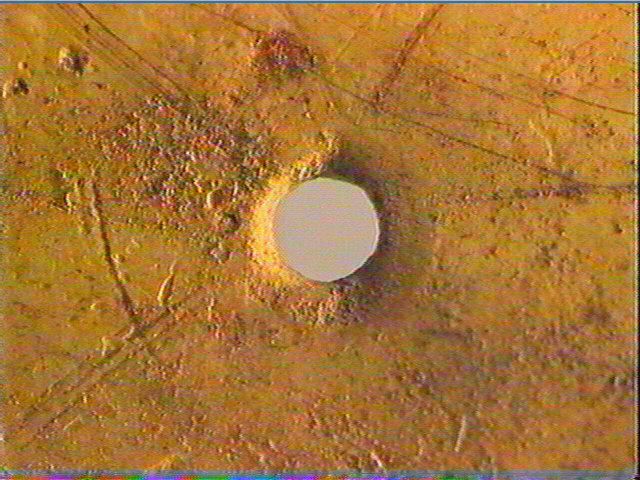Rondelle, scapula_4