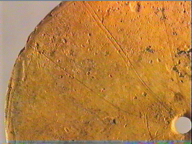 Rondelle, scapula_5