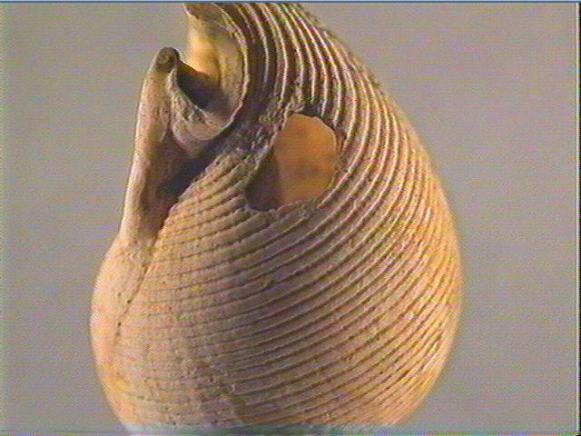 Coquillage (5)_3