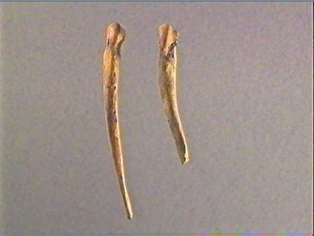 Pendeloque, métatarse (renne)_2