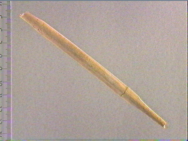 Sagaie_0