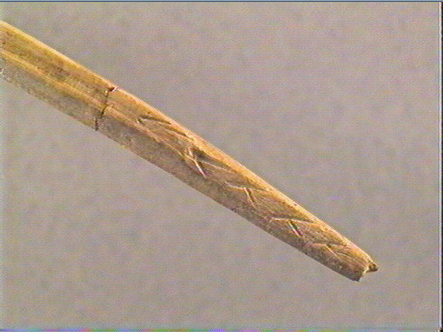 Sagaie_4