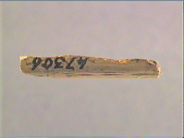 Os indéterminé_2