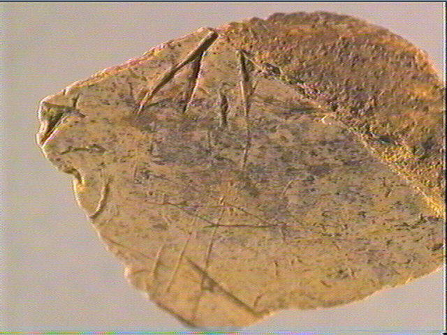 Os indéterminé (2)_4