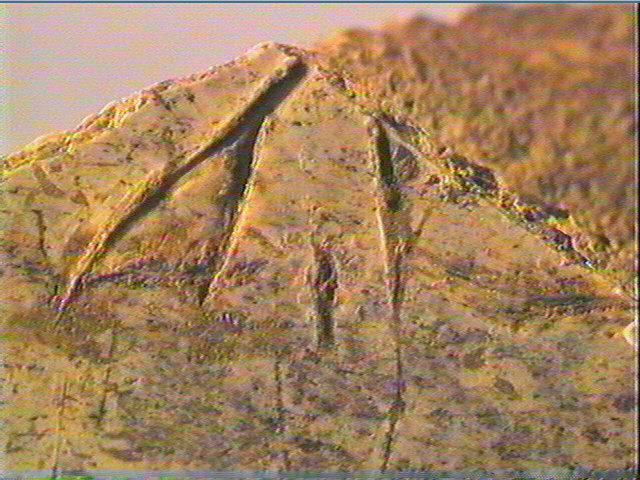 Os indéterminé (2)_5