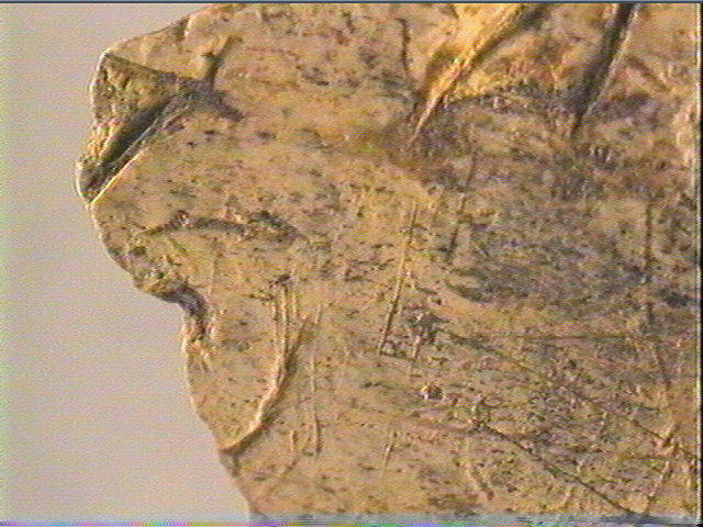 Os indéterminé (2)_6