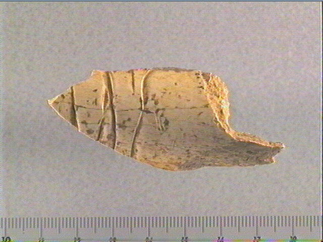 Os indéterminé (2)_0