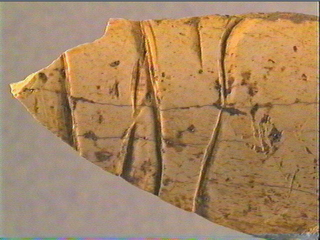 Os indéterminé (2)_1