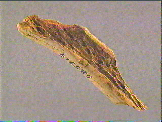 Côte_2