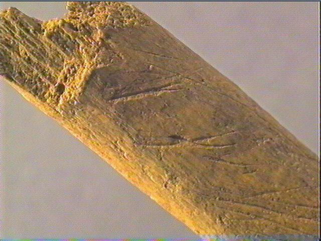 Côte_2