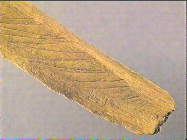 Côte_6