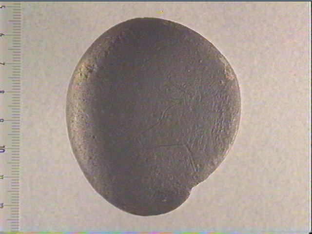 Galet_0