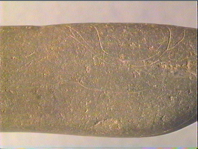 Galet (long)_5