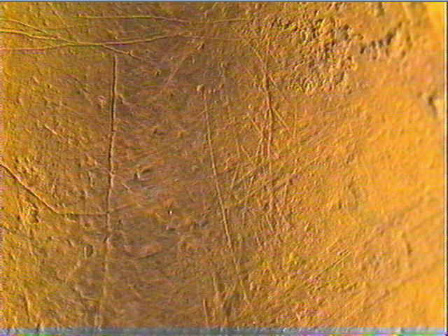 Galet (ovale)_6