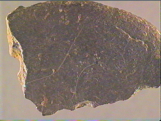 Galet (plat)_4