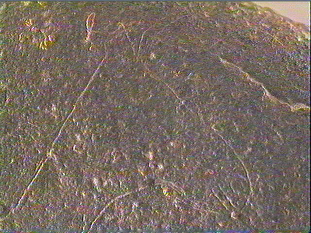 Galet (plat)_5