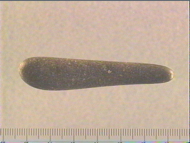 Galet (long)_0