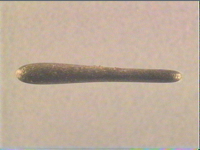 Galet (long)_1