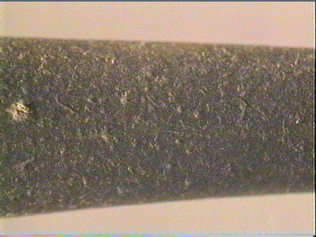 Galet (long)_6