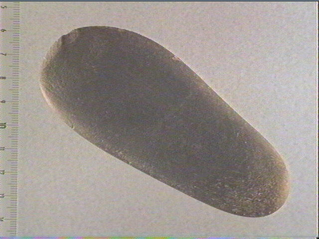 Galet (ovale), percuteur_0