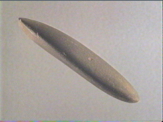 Galet (ovale), percuteur_1