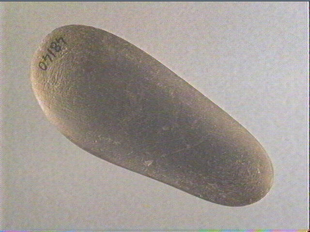 Galet (ovale), percuteur_2