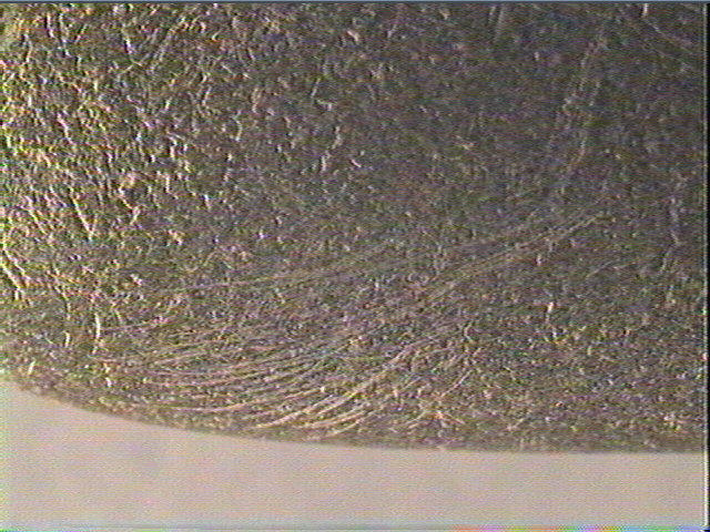 Galet (ovale), percuteur_4