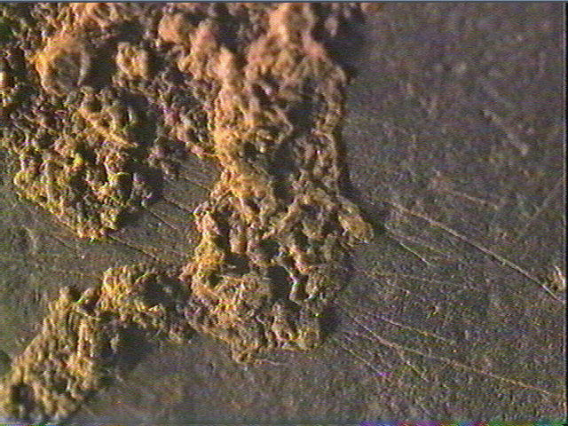 Galet (plat)_4