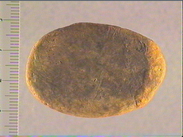 Galet (ovale)_0