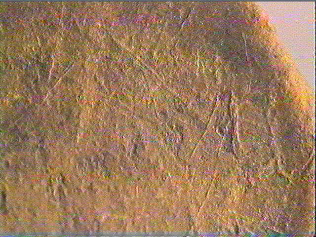 Galet (ovale)_3