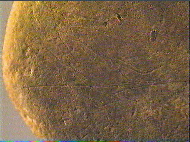 Galet (ovale)_5