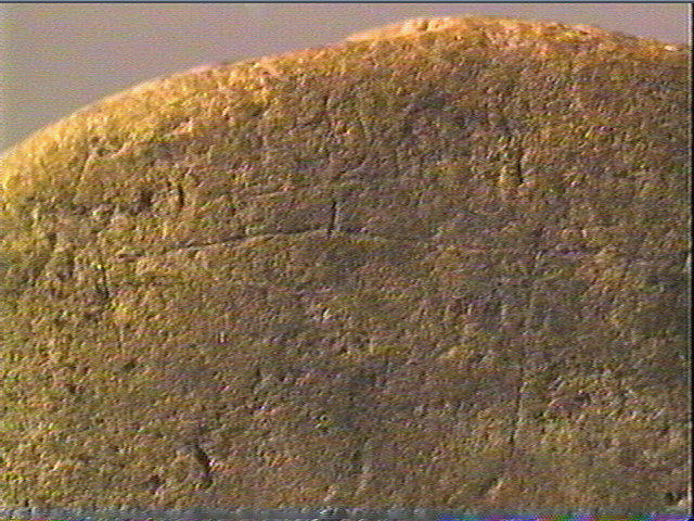 Galet (ovale)_6
