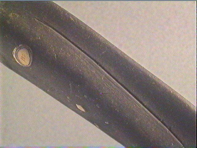 Galet (long)_6