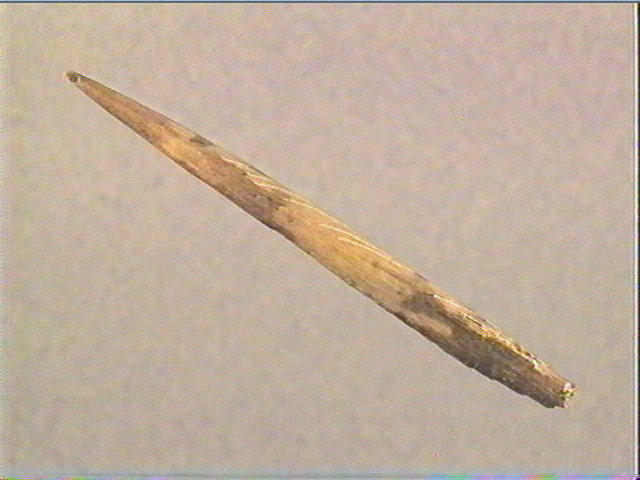 Sagaie_2