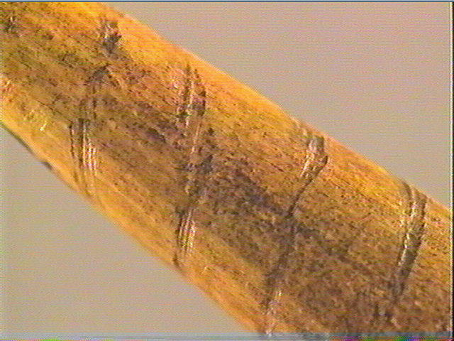 Sagaie_5