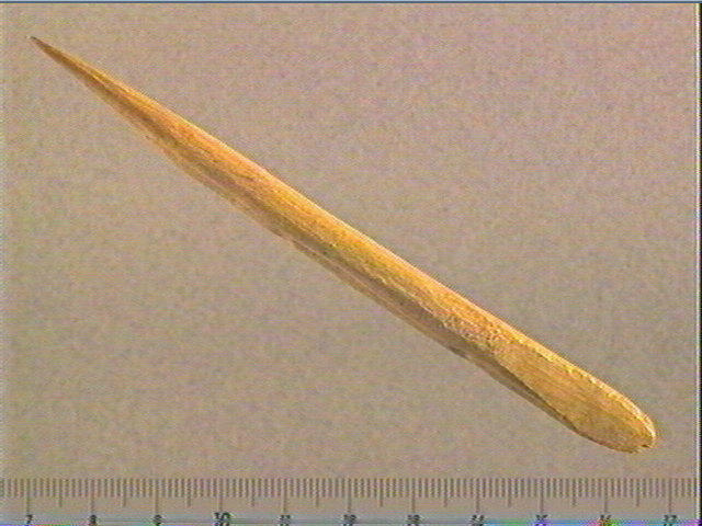 Sagaie (à biseau double)_0