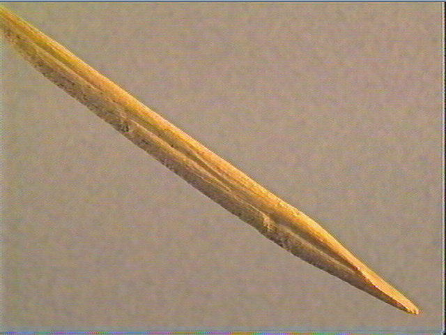 Sagaie (à biseau double)_3