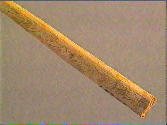 Sagaie_4