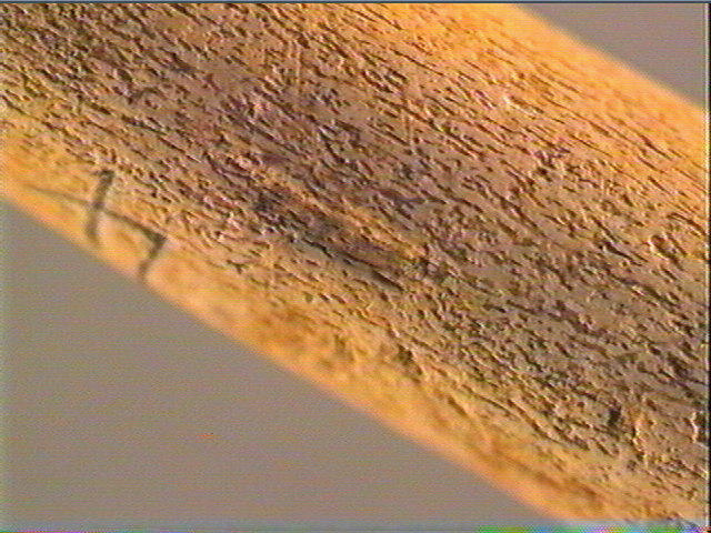 Sagaie_5