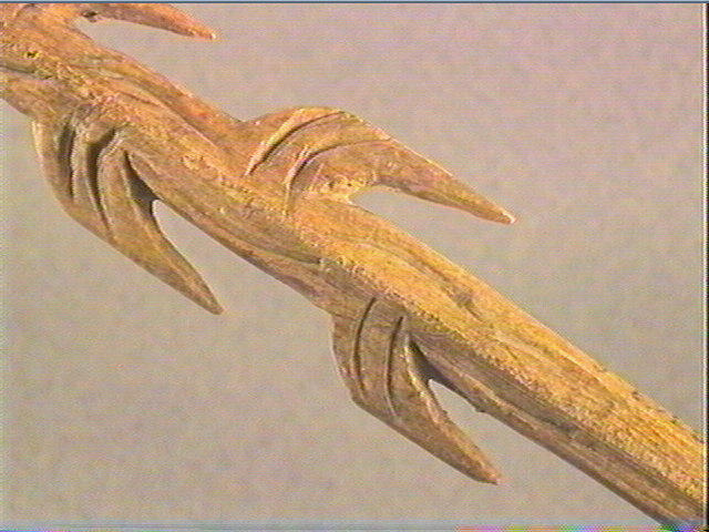 Harpon (à deux rangs de barbelures)_2
