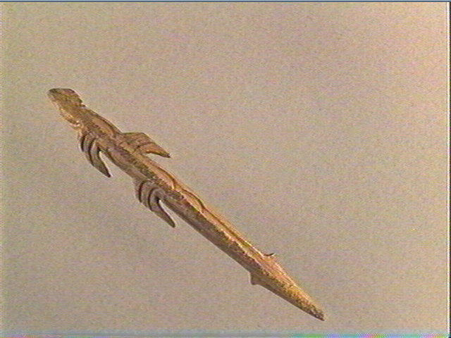 Harpon (à deux rangs de barbelures)_0