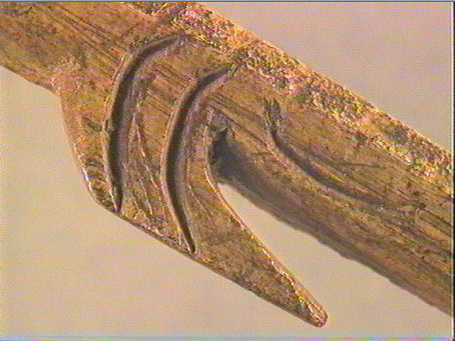 Harpon (à deux rangs de barbelures)_3