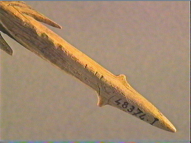 Harpon (à deux rangs de barbelures)_5