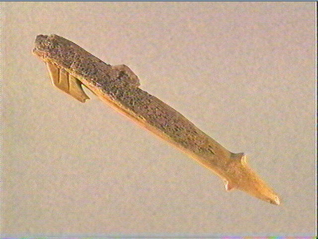 Harpon (à deux rangs de barbelures)_2