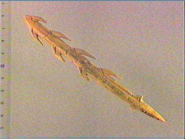 Harpon (à deux rangs de barbelures)_0