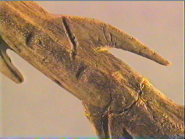 Harpon (à deux rangs de barbelures)_5