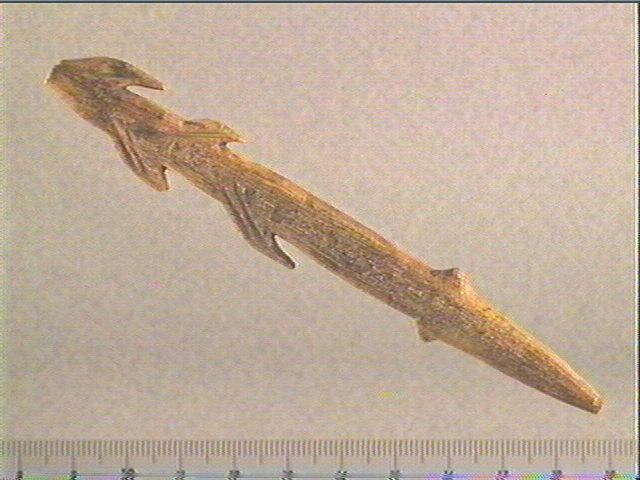 Harpon (à deux rangs de barbelures)_0