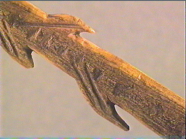 Harpon (à deux rangs de barbelures)_5